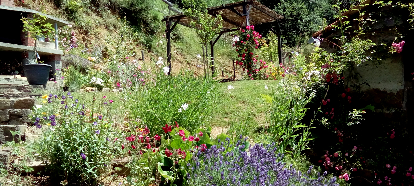 Jardin en fleurs du gîte Enso de Jules à Alleu en Ariège Pyrénées