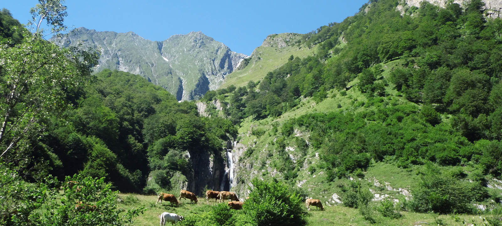 Gite Enso de Jules à Aleu, Ariège Pyrénées
